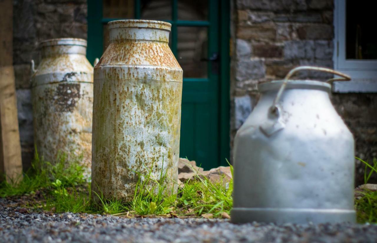 Pontyclerc Farm House Bed And Breakfast Ammanford Exterior foto